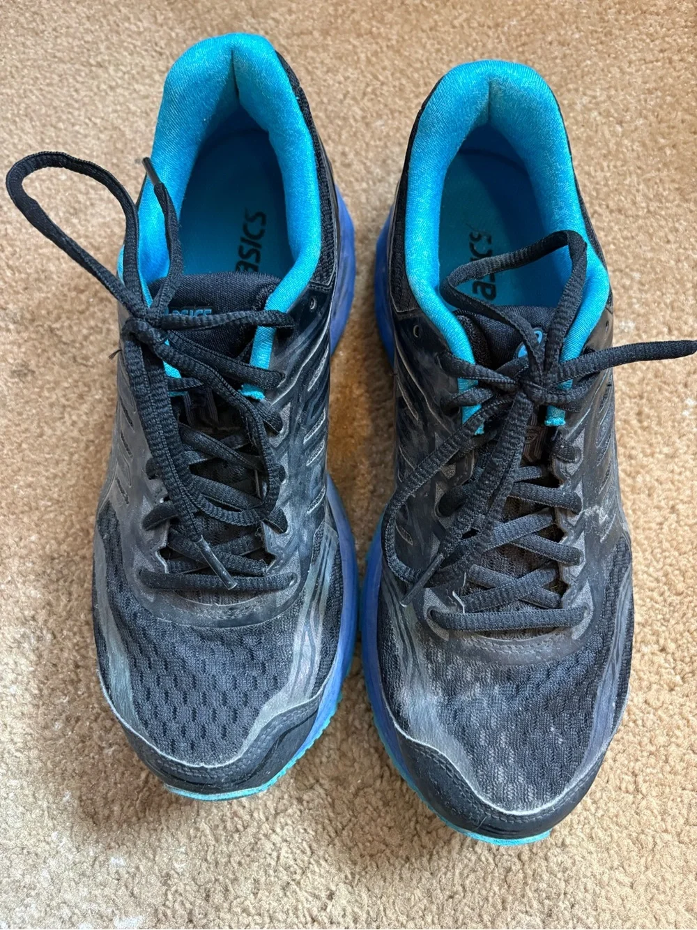 Asics Black & Blue Women's Dynamic Duomax